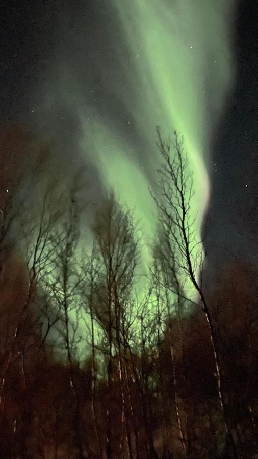 Stor Hytte I Olderfjord Vila Russenes Exterior foto